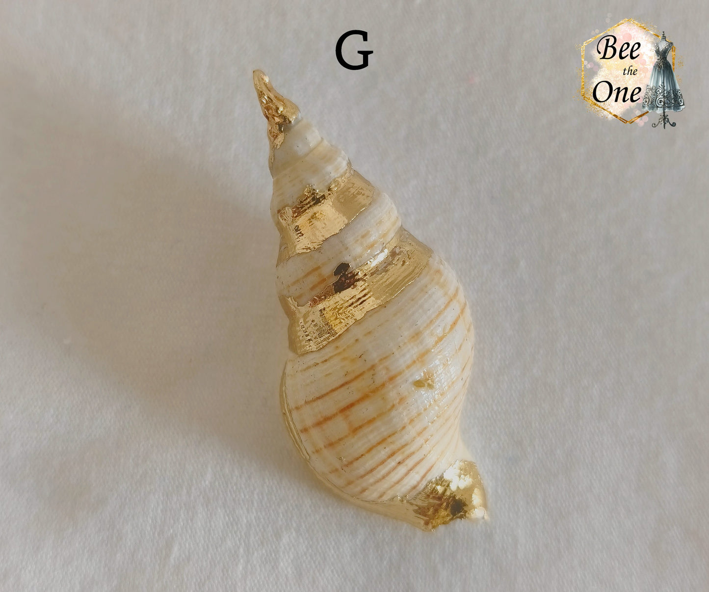 Breloque pendentif Coquillage naturel Buccin - de 40 à 60 mm (au choix) - naturel/doré