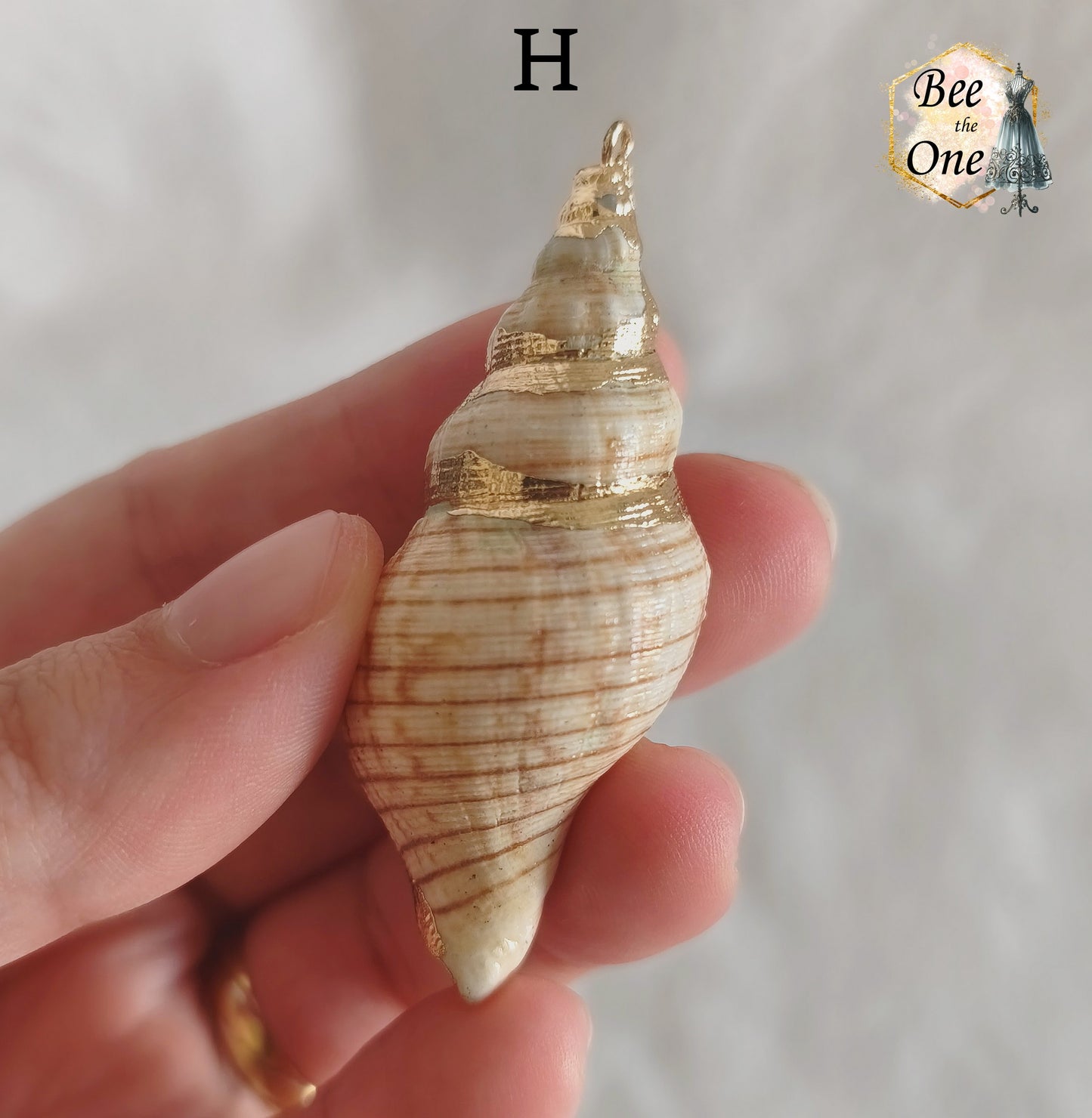 Breloque pendentif Coquillage naturel Buccin - de 40 à 60 mm (au choix) - naturel/doré