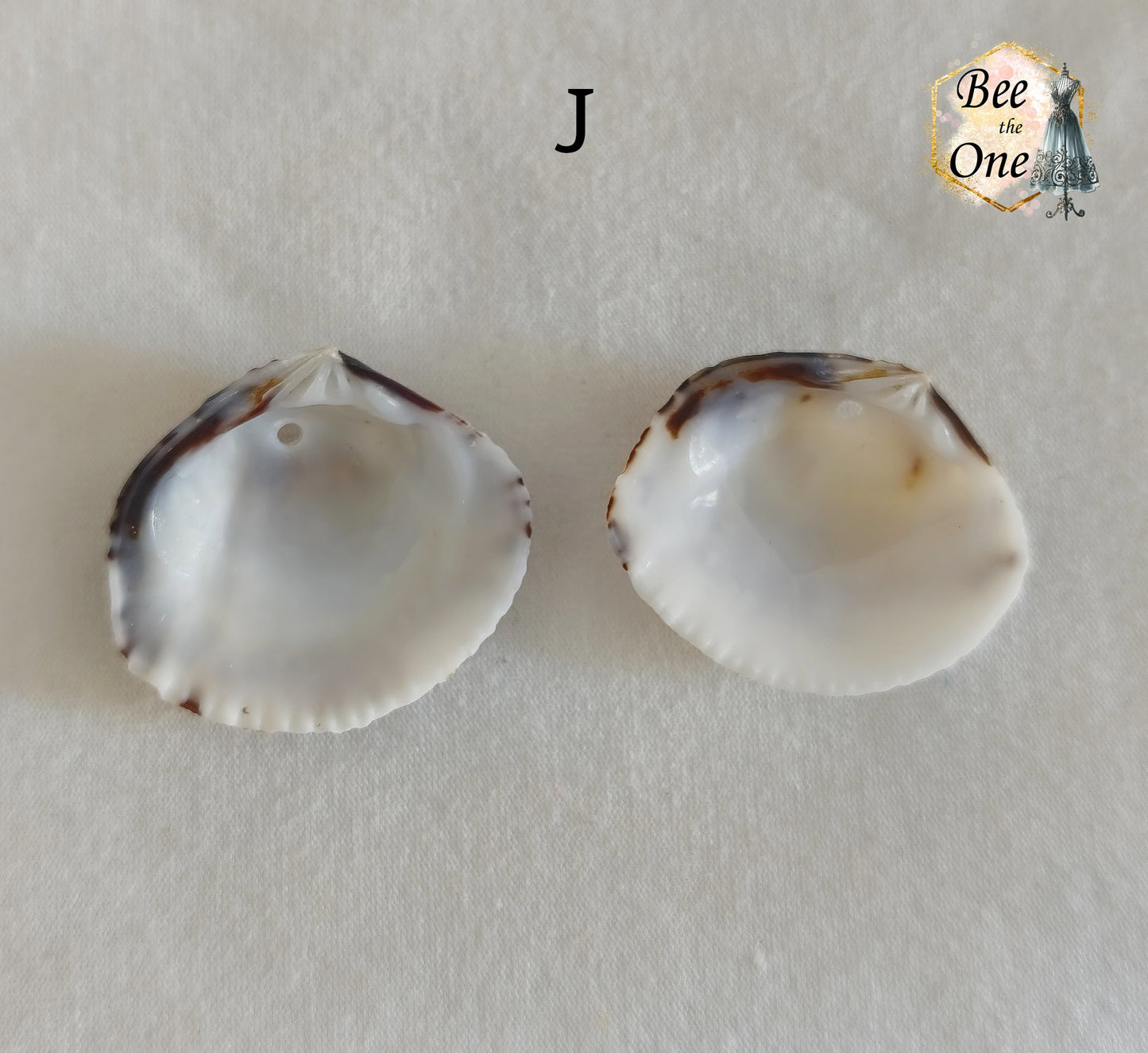 Paire de Breloques pendentif Coquillage naturel Coque - de 24 à 36 mm (au choix) - naturel