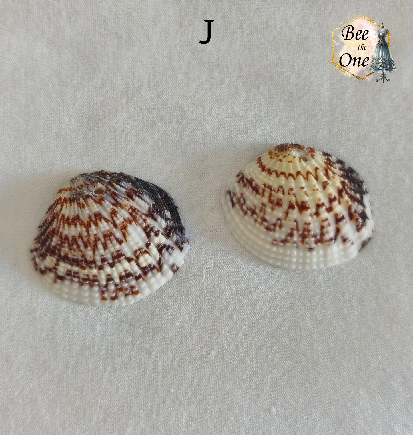 Paire de Breloques pendentif Coquillage naturel Coque - de 24 à 36 mm (au choix) - naturel
