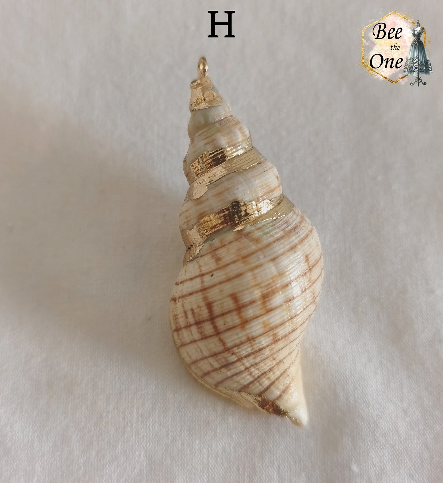 Breloque pendentif Coquillage naturel Buccin - de 40 à 60 mm (au choix) - naturel/doré