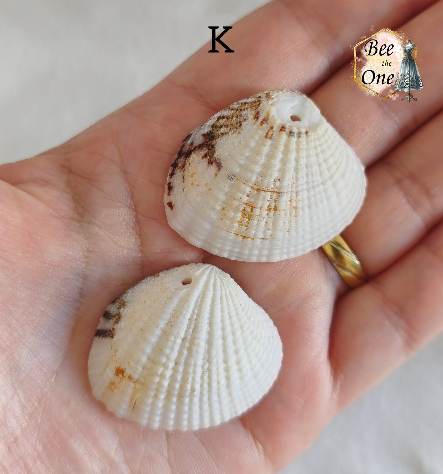 Paire de Breloques pendentif Coquillage naturel Coque - de 24 à 36 mm (au choix) - naturel