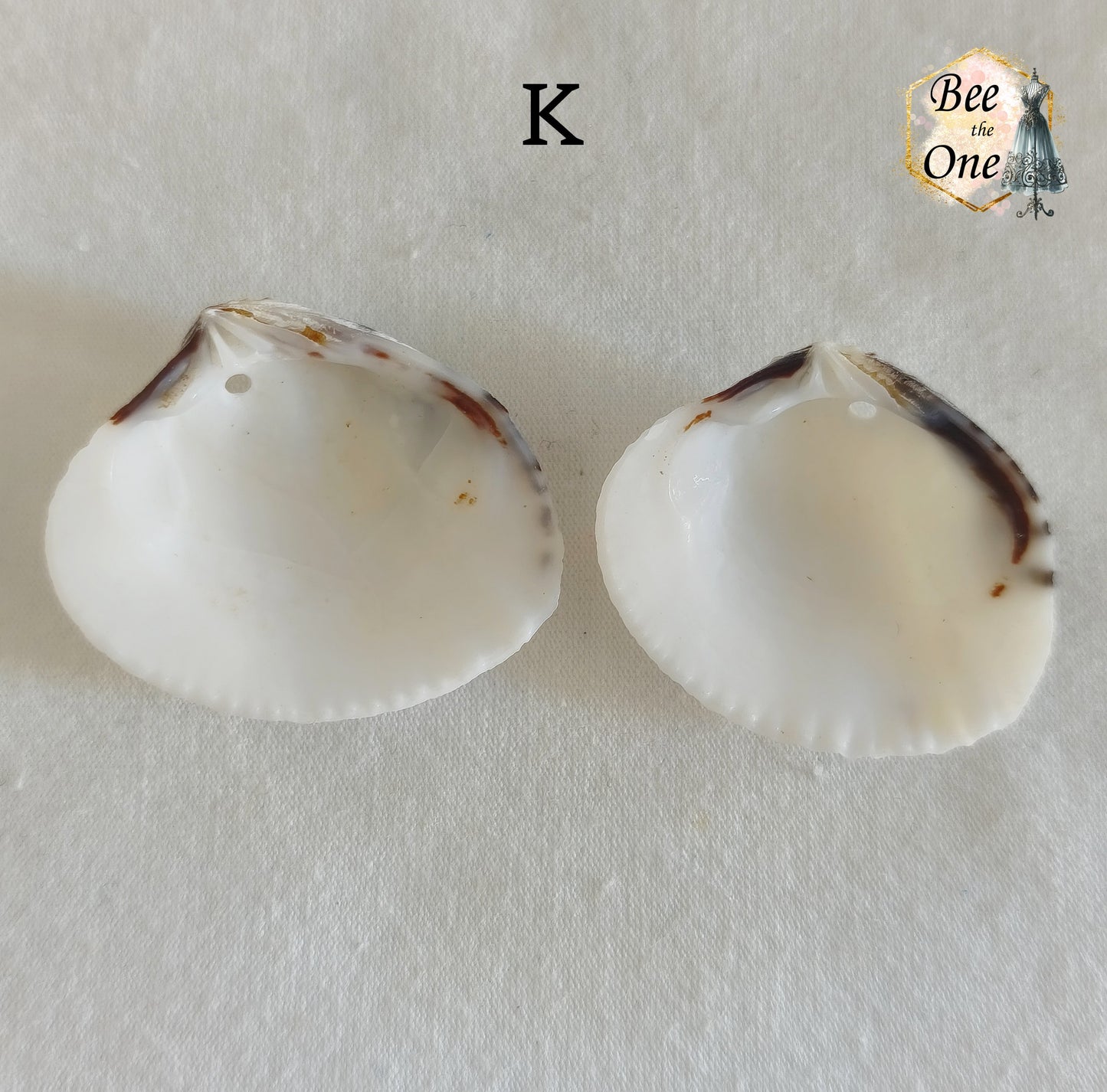 Paire de Breloques pendentif Coquillage naturel Coque - de 24 à 36 mm (au choix) - naturel