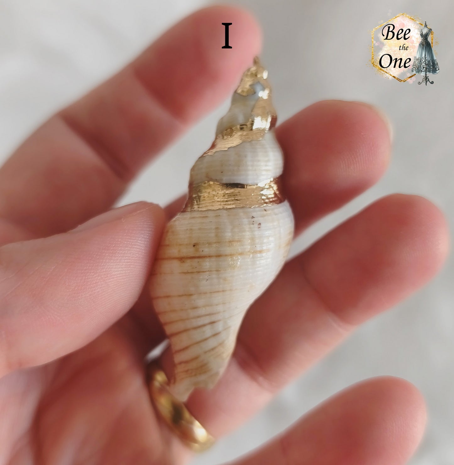 Breloque pendentif Coquillage naturel Buccin - de 40 à 60 mm (au choix) - naturel/doré