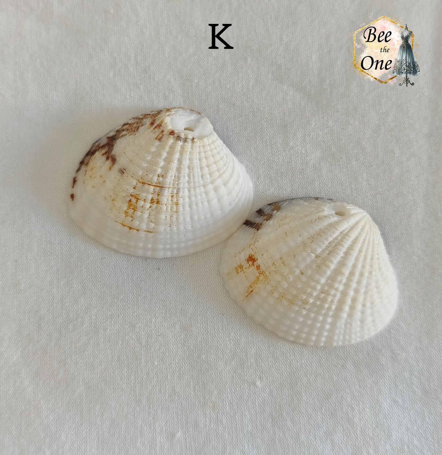Paire de Breloques pendentif Coquillage naturel Coque - de 24 à 36 mm (au choix) - naturel