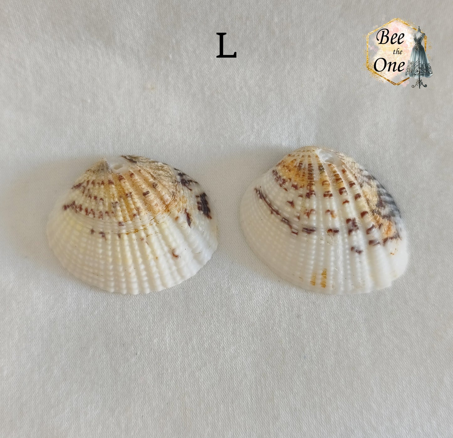 Paire de Breloques pendentif Coquillage naturel Coque - de 24 à 36 mm (au choix) - naturel
