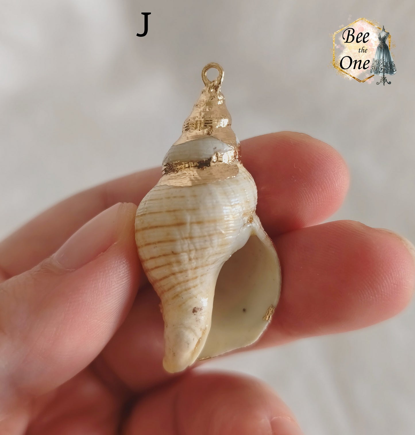 Breloque pendentif Coquillage naturel Buccin - de 40 à 60 mm (au choix) - naturel/doré