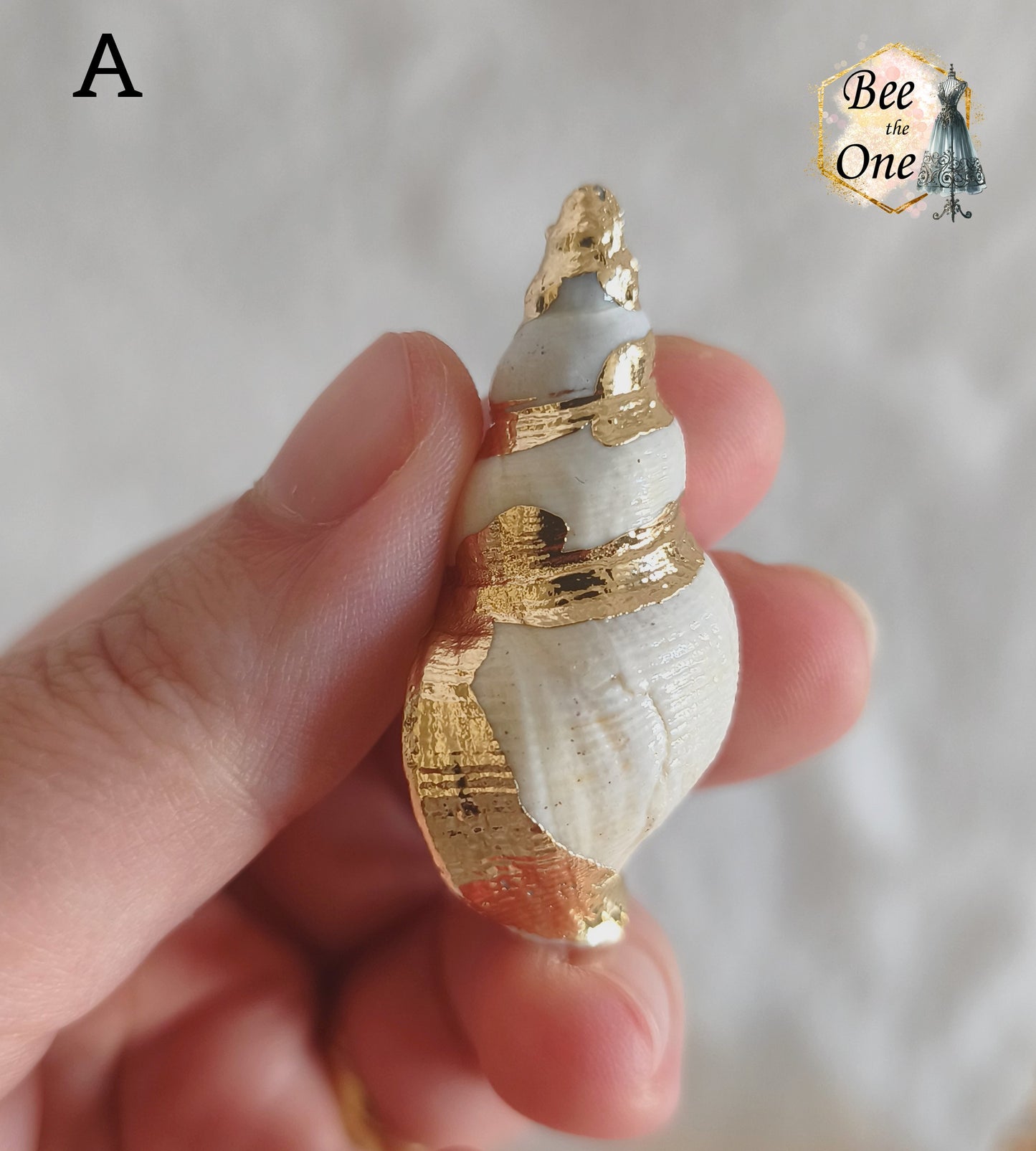 Breloque pendentif Coquillage naturel Buccin - de 40 à 60 mm (au choix) - naturel/doré