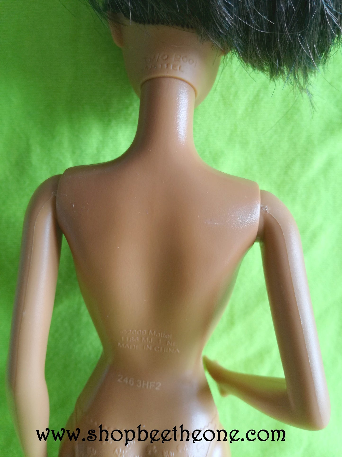 Barbie Teacher AA - Mattel 2013 - Poupée nue